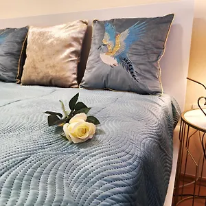 Albina Apartament